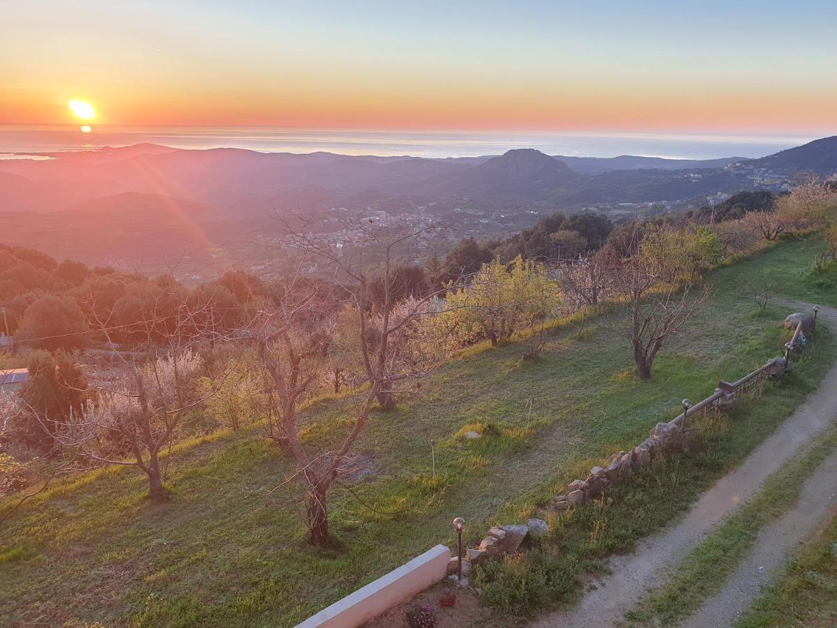 Oasi Del Benessere Ilbono Екстер'єр фото