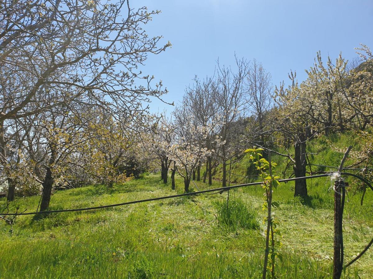 Oasi Del Benessere Ilbono Екстер'єр фото